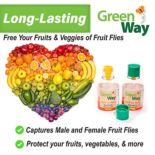 GreenWay Fruit Fly Trap (24 Bottles) | Natural Liquid Attractant, Ready to Use Bottles | Safe, Non-Toxic with No Insecticides or Odor, Eco Friendly, Kid and Pet Safe …
