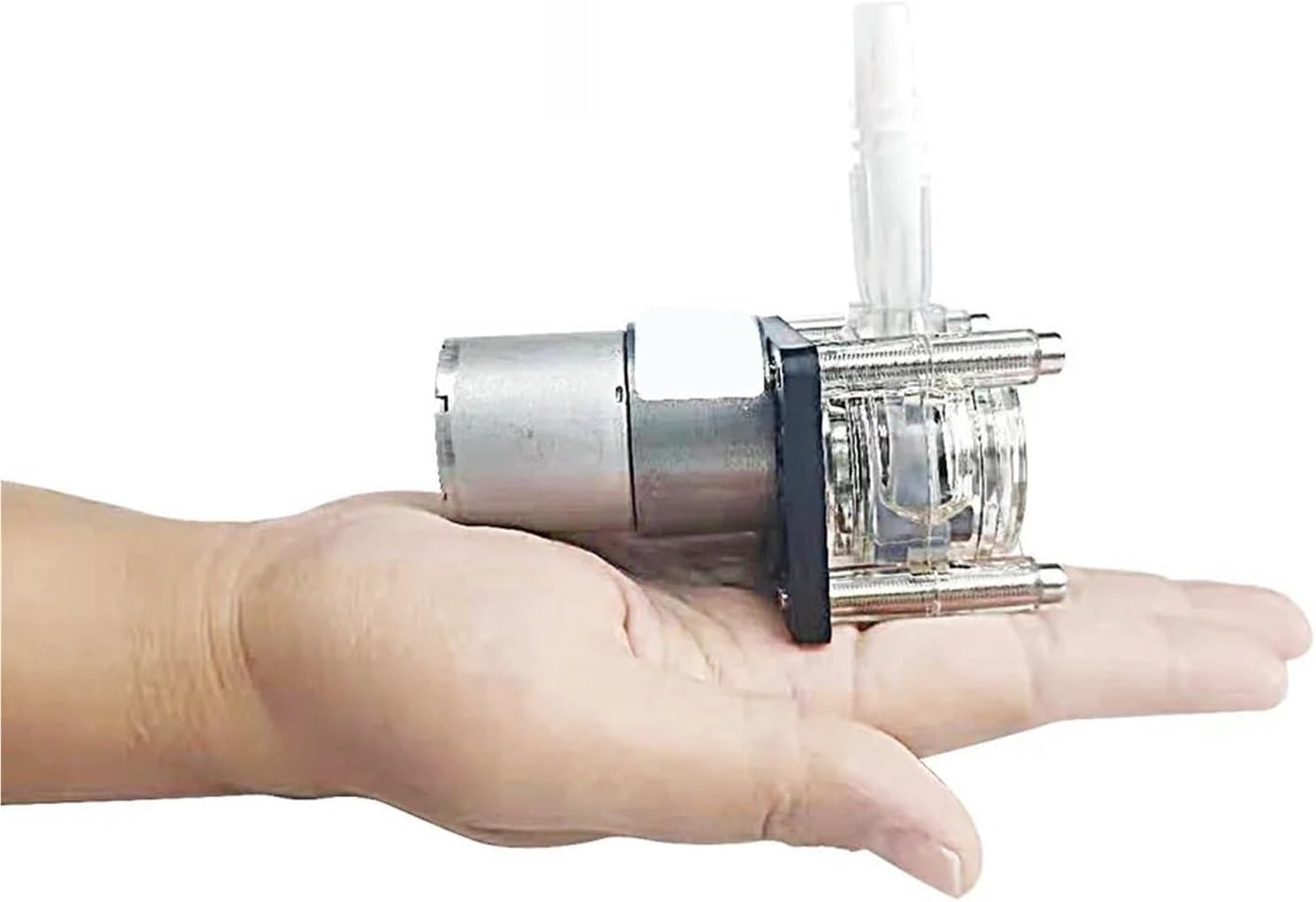 Sewage/Effluent Pumps Peristaltic Pump Dosing Pump 12V/24v DC, High Flowrate for Aquarium Lab Analytical(12V)