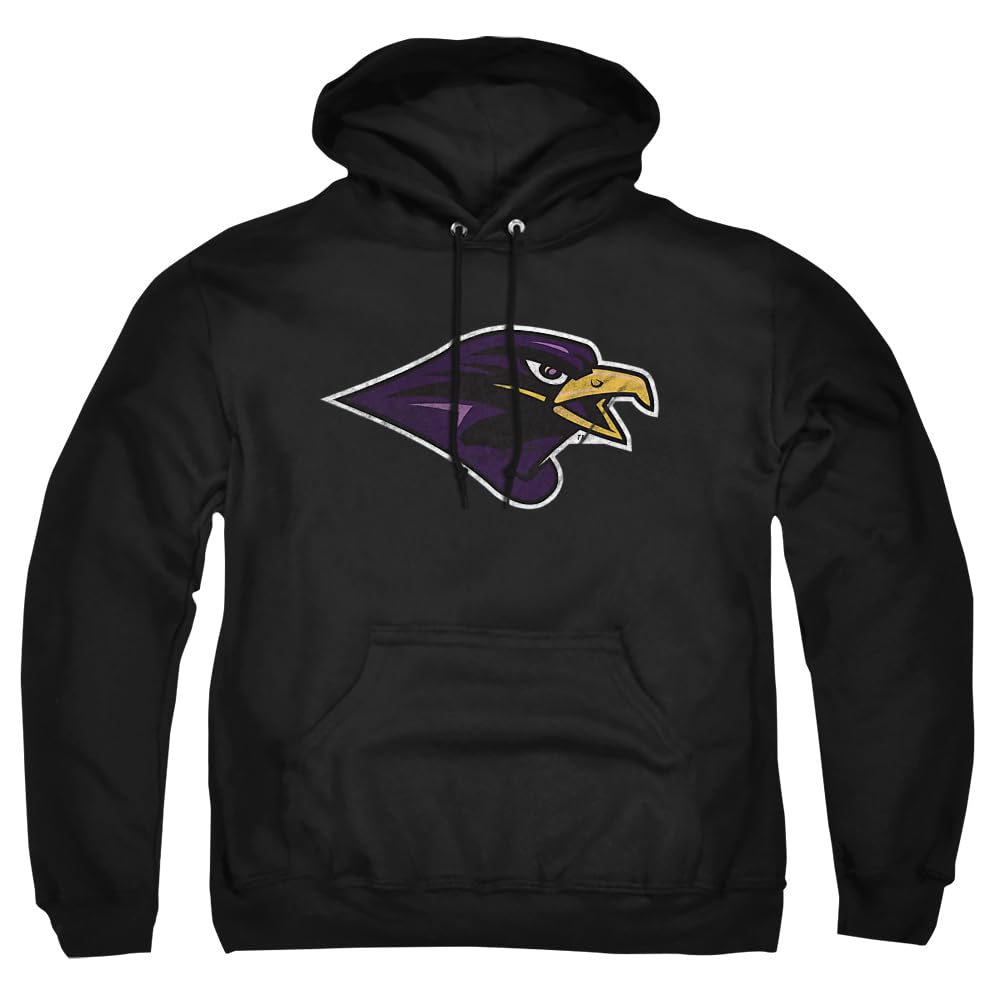 LOGOVISION Official Collegiate Distressed Primary Logo Adult Pullover Hoodie Collection — view 234