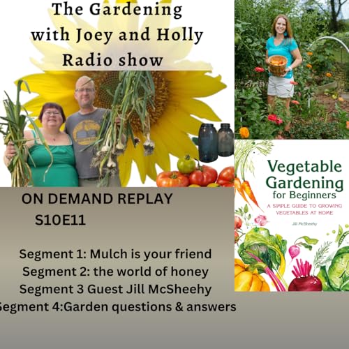 Episode 1552: S10E11 Mulch is your friend, the world of honey, Guest Jill McSheehy, Q&A The Gardening with Joey and Holly Radio Show Podcast Por  arte de portada