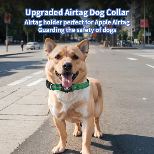 JOYPAWS Small AirTag Dog Collar with Waterproof Reflective Apple Air Tag Holder Locking Buckle Havey-Duty Nylon Padded Dog Collars Green XS