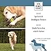 Homes&Bones Doggy Egg Hundespielzeug befüllbar aus Naturkautschuk zur Hundebeschäftigung als Futterball & Intelligenzspielzeug für mittlere bis große Hunde grün