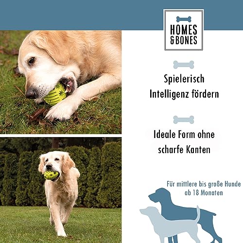 Homes&Bones Doggy Egg Hundespielzeug befüllbar aus Naturkautschuk zur Hundebeschäftigung als Futterball & Intelligenzspielzeug für mittlere bis große Hunde grün