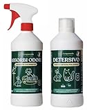 Zampaverde Fresco & Morbido | Leva Odori Probiotico, Neutralizzatore Enzimatico Urina + Detersivo Delicato Bio | Cura Animali | Sicuro, Non Tossico per Cani, Gatti | Pacco da 2 al 12% di Sconto