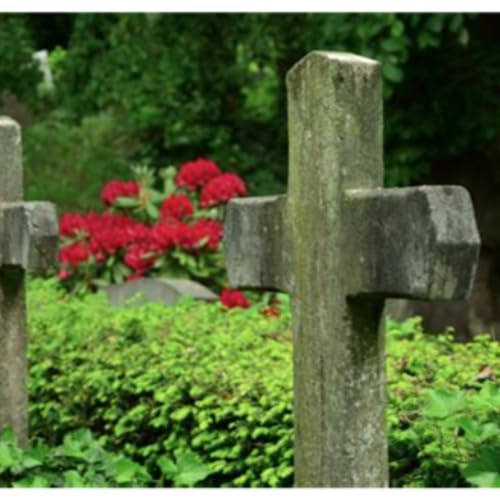 Where Are The Dead?