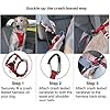 Kurgo-Dog-Harness-Car-Harness-for-Dogs-Extra-Small-Black-Pet-Safety-Seat-Belt-Certified-Crash-Tested-Harness-Car-Seatbelt-Tru-Fit-Enhanced-Strength-Style Crash Tested Dog Car Harness