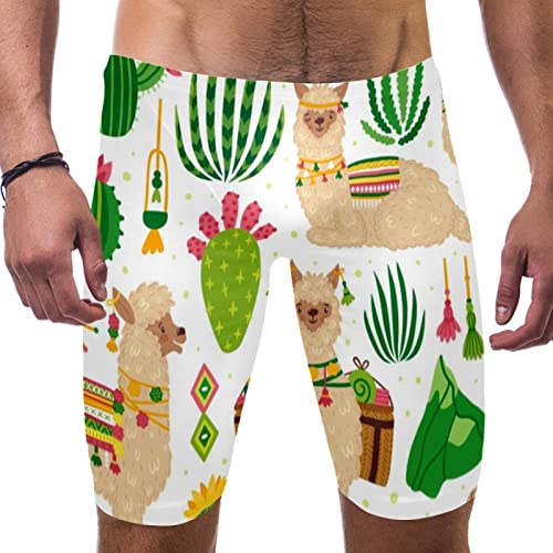 Traje de baño tipo jammer de entrenamiento Endurance para competición