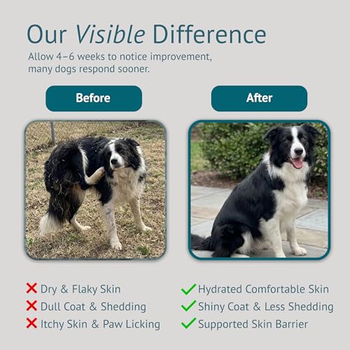 VetsLeaf Dog Skin and Coat Supplement Chews - Omega-3 Fish Oil, EPA & DHA, Biotin, Vitamin A & D3 - Coat Shine, Skin Hydration, Shedding & Itch Relief - Made in USA - 60 Count — view 5