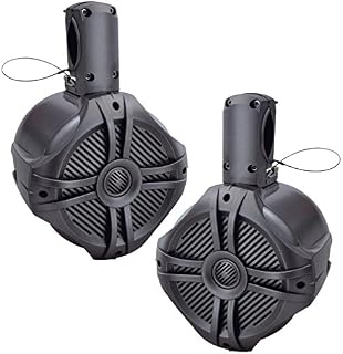 Marine-Grade Wake Tower Enclosure and Speaker System - Set of 2
