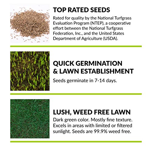 GreenView Fairway Formula Grass Seed Dense Shade Mixture, 3 lb Bag