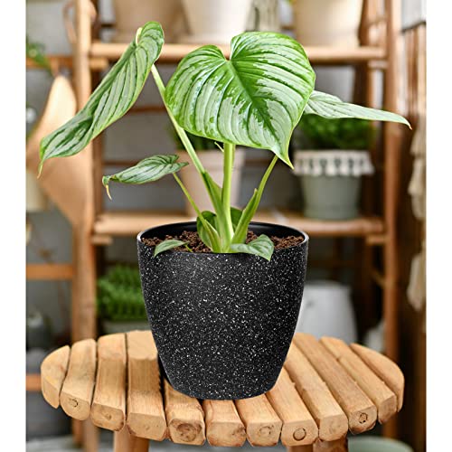 Vanavazon Plant Pots 9/8/7 Inch Set Of 3 Flower Pots Indoor Outdoor Plastic Planters With Drainage Hole And Tray (Speckled Black) #TOP6