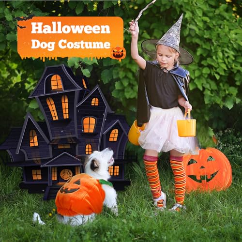 Disfraz de Calabaza para Perros Pequeños y Medianos Halloween miniatura 2
