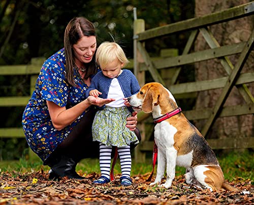 Image of HALTI Comfort Collar - Nylon and Neoprene-Padded Comfy Dog Collar, Reflective, Easy to Fit & Use. Colorful two-tone design, Suitable for Large Dogs (Size L, Red) | Premium Comfy Dog Collar | Nylon with Neoprene-Padding | Reflective | Suitable for Large Dogs and Puppies