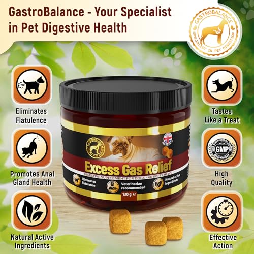 GastroBalance Hund blähungen – 60 weichen kausnacks gegen blähungen Hund 100% natürliche wirkstoffe (Bacon-Geschmack)