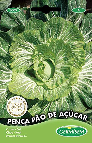 Germisem graines Chou PÃO DE AÇUCAR