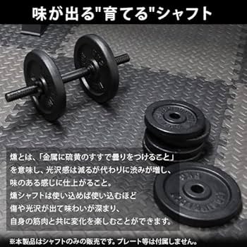 Amazon | [リーディングエッジ] ダンベルシャフト 燻-ibushi