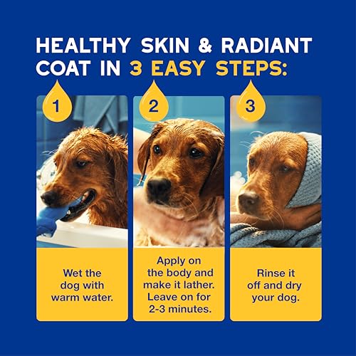 DOUXO® Skin & Coat SPA - Ultra-Safe Oatmeal Dog Shampoo, 16 fl oz, Cleans and Deeply Hydrates The Skin, Leaves The Coat Soft and Radiant, Skin-Friendly Formula - Thumbnail 7