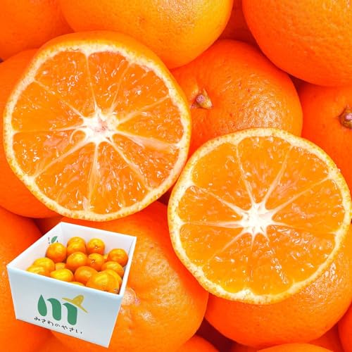 [�݂���̂₳��] �ԏG �݂��� ������ 5kg (S�T�C�Y) ���Q���Y �I�ʑI�ʍ� �V�ܔ��S�������I���� ���Ε� �M�t�g ���� �Βn�݂��� �Â�