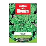 Blumen