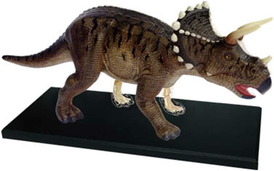Beaghty Assembly Models 4d Vision Triceratops Anatomy Interactive Dinosaur Biology Learn Science Fun And Educational Toy For Kids Age 6 Up School Education Beaghty Assembly Models 4d Vision Triceratops Anatomy Interactive Dinosaur Biology Learn Science Fun And Educational Toy For Kids Age 6 Up School Education