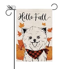 Fall Pomeranian