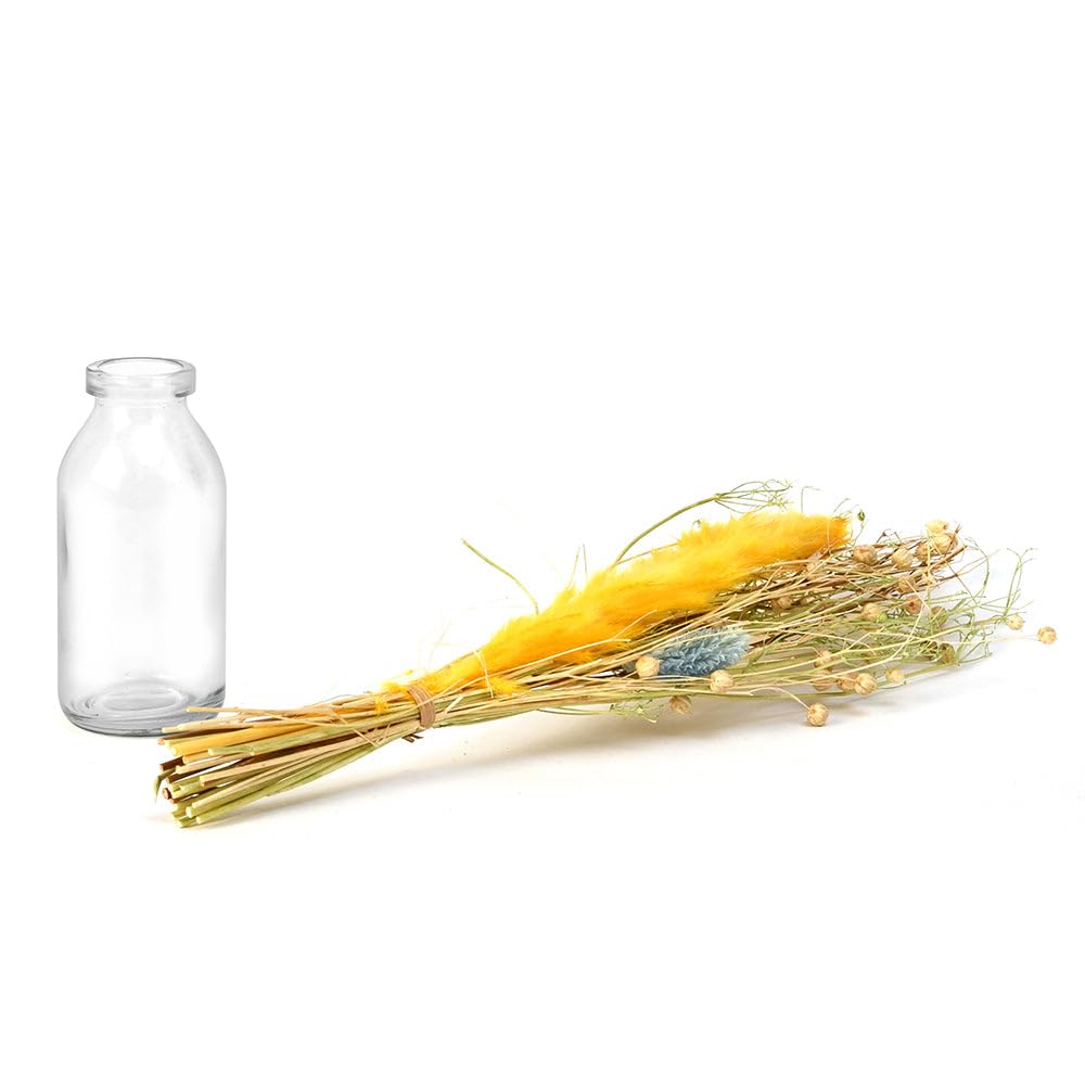 @home Arias Decorative Glass Vase with Dry Flowers for Home Decor Living Room, Bedroom in Transparent and Yellow Colours by Nilkamal 4