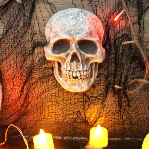 Calavera de hueso humano decorativa para estantería y escritorio 4