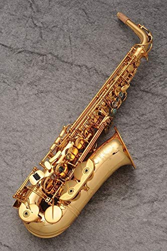 Amazon | Cannonball キャノンボール アルトサクソフォン Sceptyr Semi