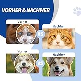 PCpetclear PetClear augentropfen Hunde und Katzen lindern Augenjucken und Reizungen, Symptome und Allergien. Entfernt effektiv Tränenstein. (60ml) (1)