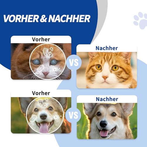 PCpetclear PetClear augentropfen Hunde und Katzen lindern Augenjucken und Reizungen, Symptome und Allergien. Entfernt effektiv Tränenstein. (60ml) (1)