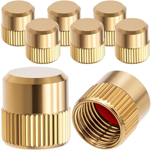 MEAJOO Valve Stem Caps (8-Pack) - Decorative Metal Brass Covers, Corrosion Resistant for Car, Truck, SUV, Bike, Motorcycle Accessories