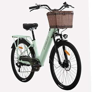 cysum 26 inch (66 cm) elektrische fiets, city-pendelaar, uniseks, volwassenen, afneembare accu 48 V 10,4 Ah, autonomie 80 – 100 km, met mand en bagagedrager