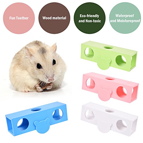 WIDEN Piccolo animale domestico animale animale a