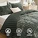 Bedsure Velvet Quilt Queen Size Set - Lightweight Velvet Comforter Queen, Luxury Bedspread Coverlet, Ultra-Soft Bedding Set with 2 Pillow Shams for All Season, 90