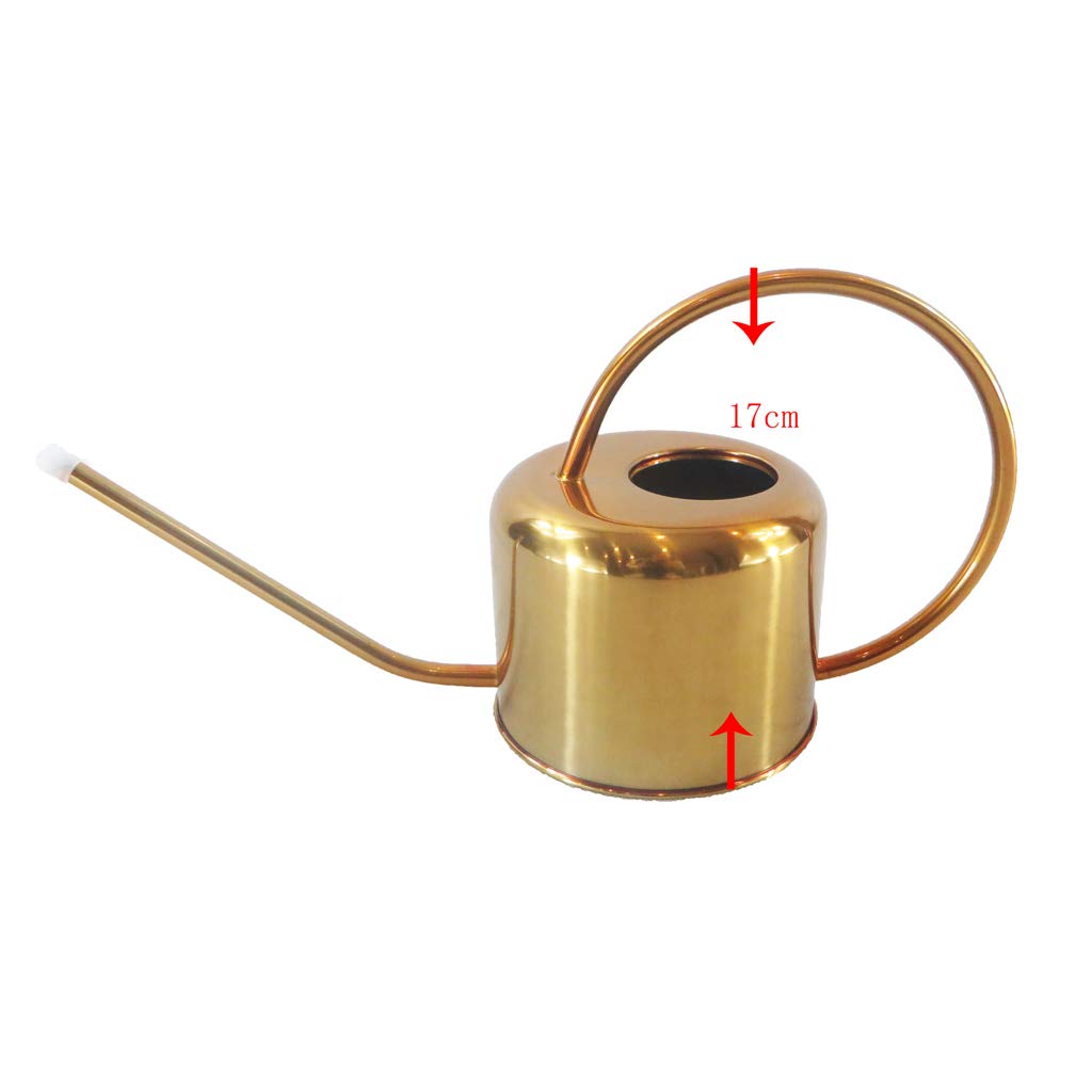 Arrosoir en Acier Inoxydable avec Longue Verseuse et Style Élégant pour Soins Réguliers des Plantes d'Intérieur Adapté Véranda Balcon Séjour