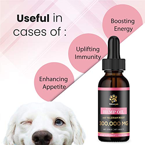 Billion Pets Hemp Oil For Dogs And Cats - Stress And Anxiety - Organic Calming Drops #TOP6