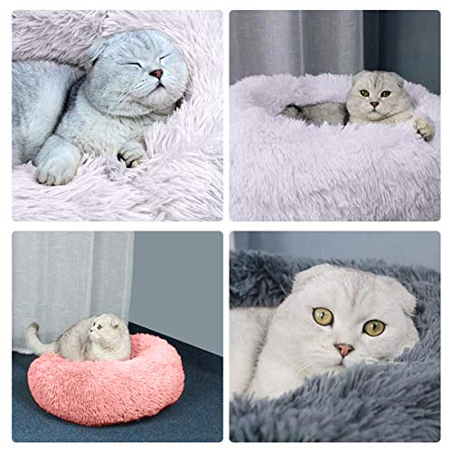 Queta Katzenbett Schöne Tierbett, Klein Hund Bett Haustierbett Plüsch Weich Runden Katze Schlafen Bett (50cm, Hellgrau)