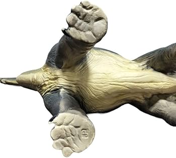 ★希少★ TSUKUDA ツクダホビー ブラキオサウルス 大型ソフビ フィギュア Amazon.co.jp: TSUKUDA HOBBY ツクダホビー ブラキオサウルス 大型