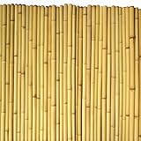 Bamboo Fence Rolls 6 Feet High, 6 ft High x 8 ft Long x 1 in D