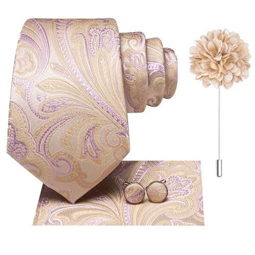 Image of Hi-Tie Mens Paisley Floral Striped Ties Set Silk Necktie and Lapel Pin for Men Pocket Square Cufflinks Set Business Wedding
