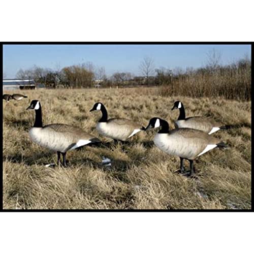 The Best full body goose decoys Top 10 Picks in 2023 Maine Innkeepers Association