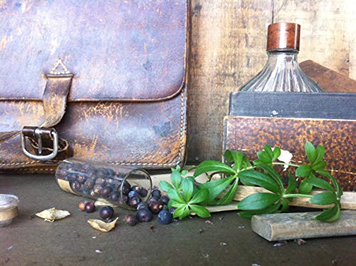 Elixier Gin- Der Gin mit Waldmeister – Bild 6