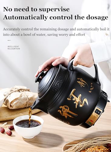 Olla eléctrica para medicina china 3-6L cerámica negra miniatura 3