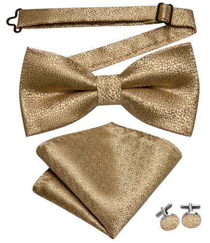 Image of Dubulle Mens Paisley Striped Bowtie Set Pre-tied Bowtie for Men and Pocket Square Set Wedding Business