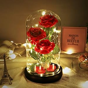 Beautyandthebeastroseclassicredrosewithledlightsandfallingpetalsgiftsforwomenbirthdaygiftsformomlightuproseinglassdomeflowergiftsforher Urban Country Home Decor Beauty and the beast rose classic red rose with led lights and falling petals gifts for women birthday gifts for mom light up rose in glass dome flower gifts for her urban country home decor