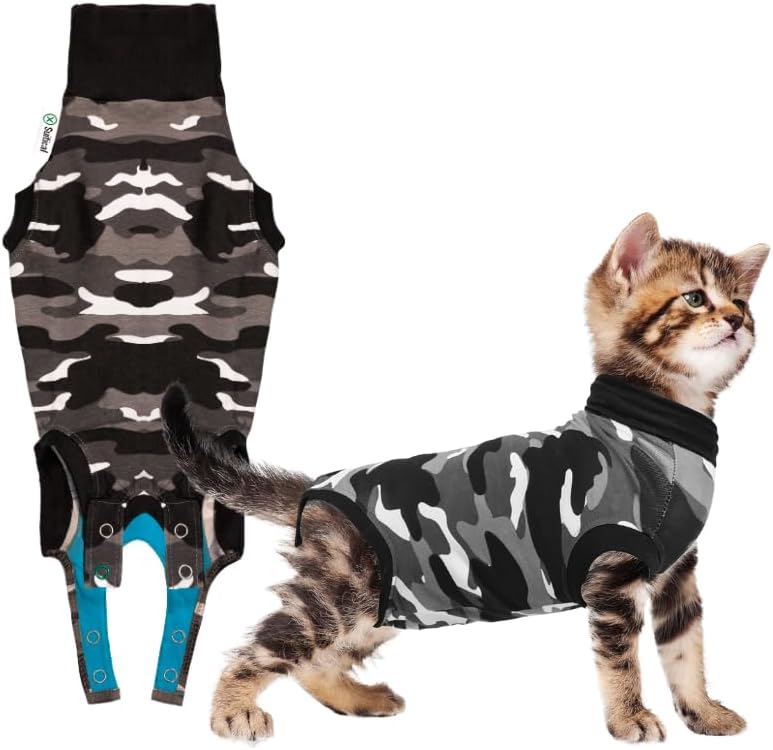 Ona haqida porno hd video Svetlana Zelbet yalangoch