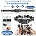 Wireless Dog Fence Remote Training Collar IPX7 Waterproof Receiver with 0-9 Levels Beep Vibration Shock Mode 4 Channels Rechargeable Transmitter System, Harmless and Suitable for All Dogs,for1dog