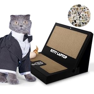 Toy Cat Laptop with 2 Scratchboards + Catnip Mouse Toy for Cats + 50pack Cat Sticker – Interactive Eco-Friendly Cat Computer with Scratch Pad Laptop for Cats – Mini Cat Laptop