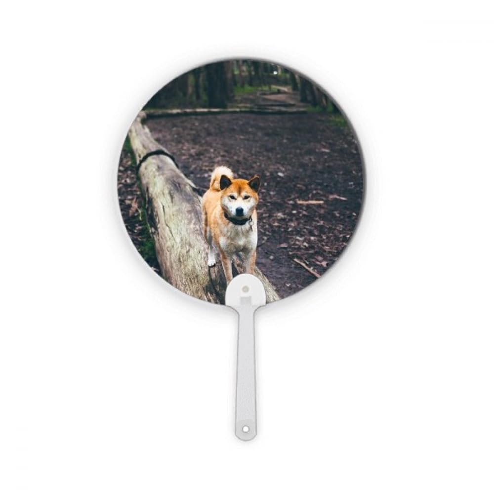 Éventail rond plastique Uchiwa motif chien japonais rigide