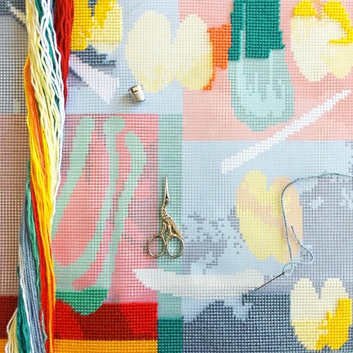 Image of Abstract Stamped Cross-Stitch Kit for Adults and Beginners - Vegetables by Henri Matisse 16″ x 16″ with Clear, Precise Printed Design on Cotton Canvas; Includes 2 Needles, Yarn, and Easy-Read Chart